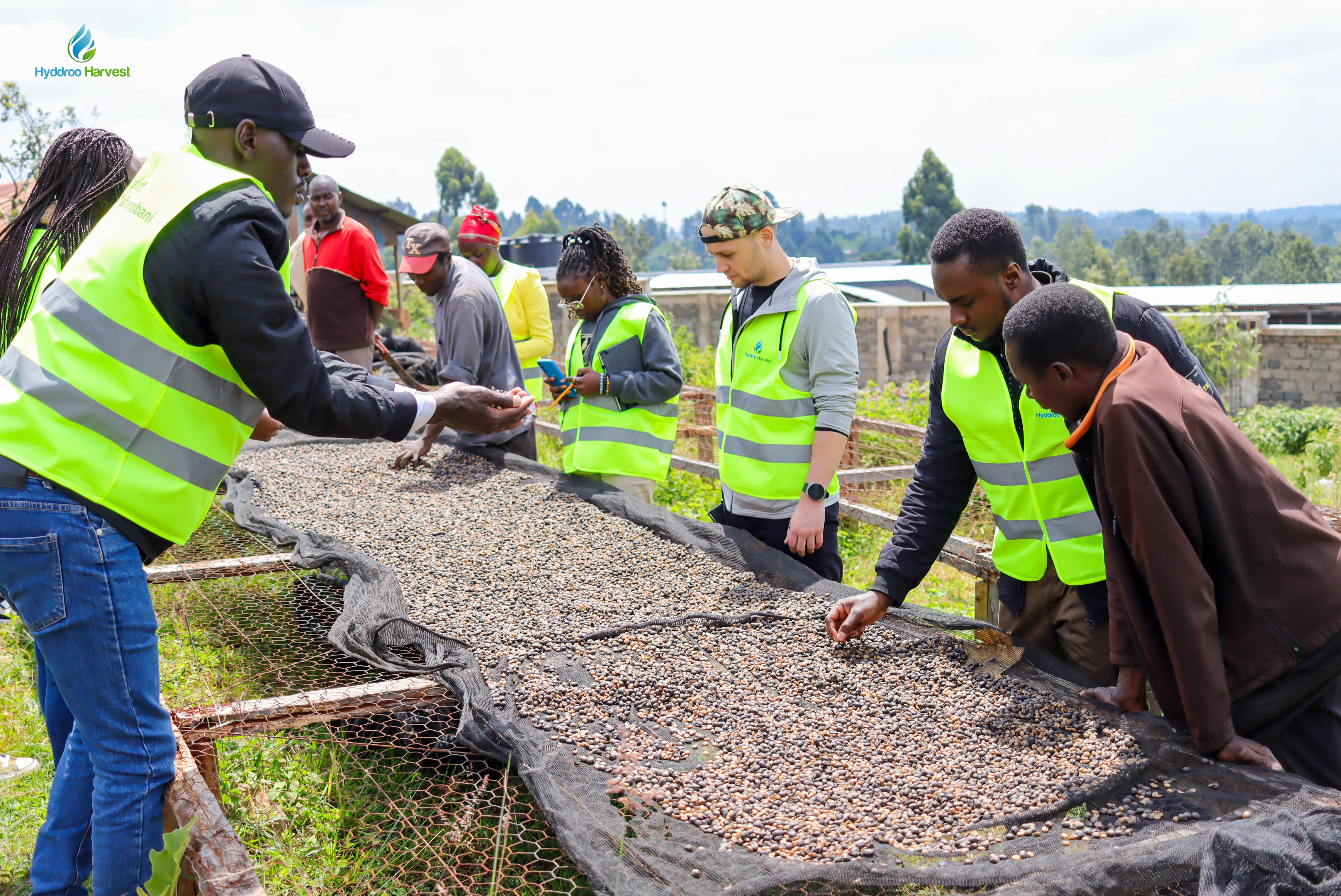 money in farming Image